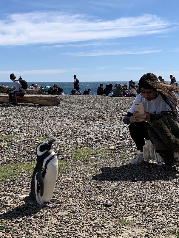 Viaje Educativo en Puerto Madryn