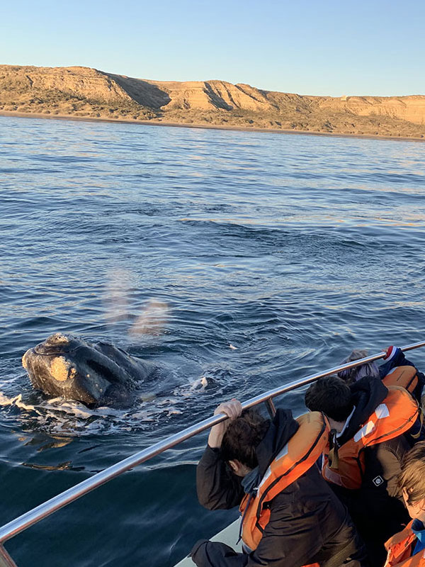 Viaje Educativo en Puerto Madryn